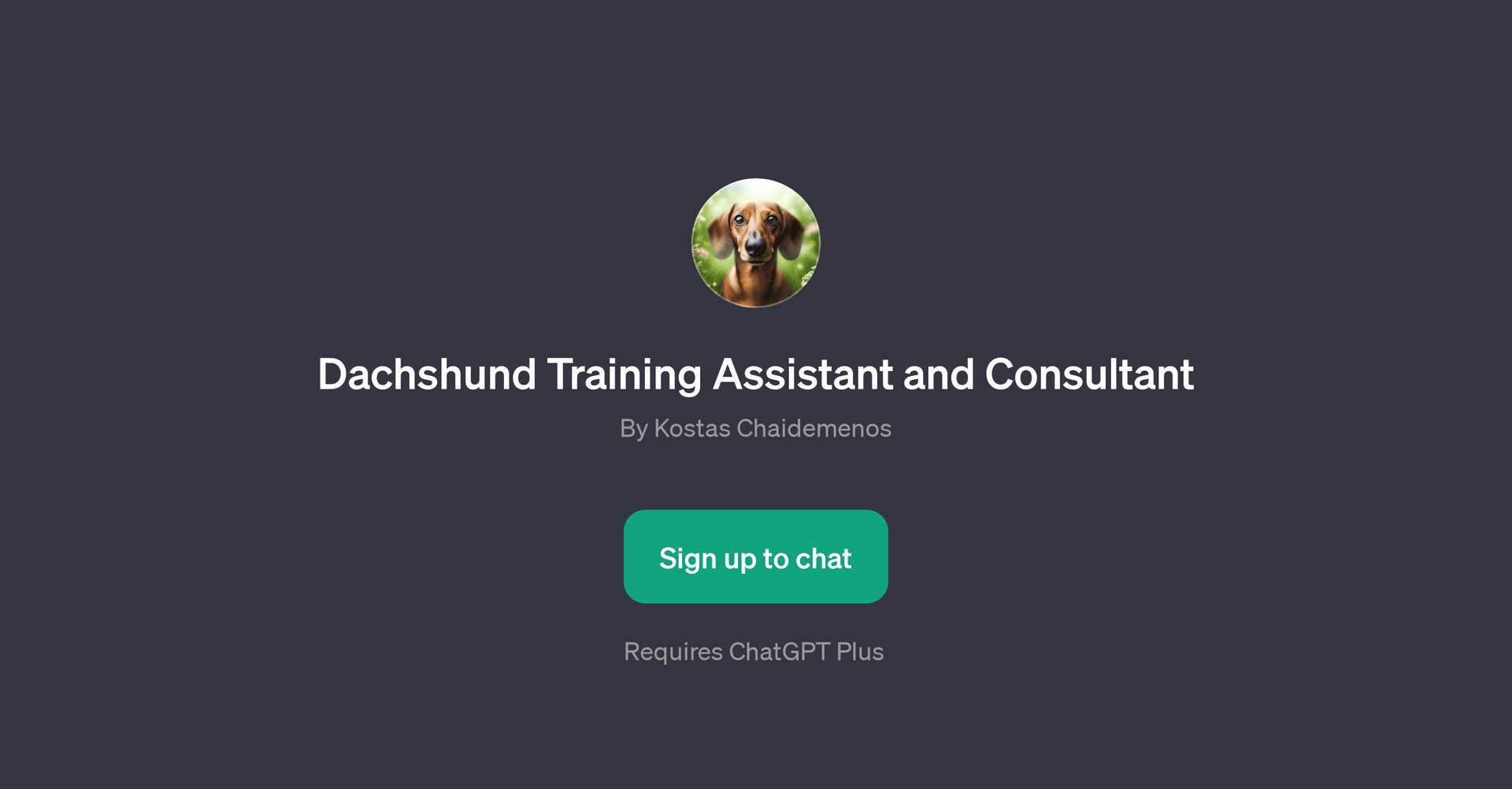 Dachshund Training Assistant and Consultant