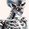 Basic Orthopaedic Science Expert