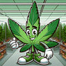 Bud Buddy
