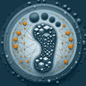 Carbon Footprint Calculator