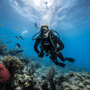 Dive Master