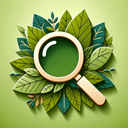 Eco Audit
