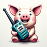 Ham Radio