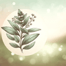 Herba Sapientia