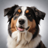 Image Generator Hyper Realistic
