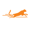 Post Cheetah SEO