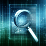 SEO Consultant