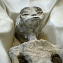 Tridactyl GPT
