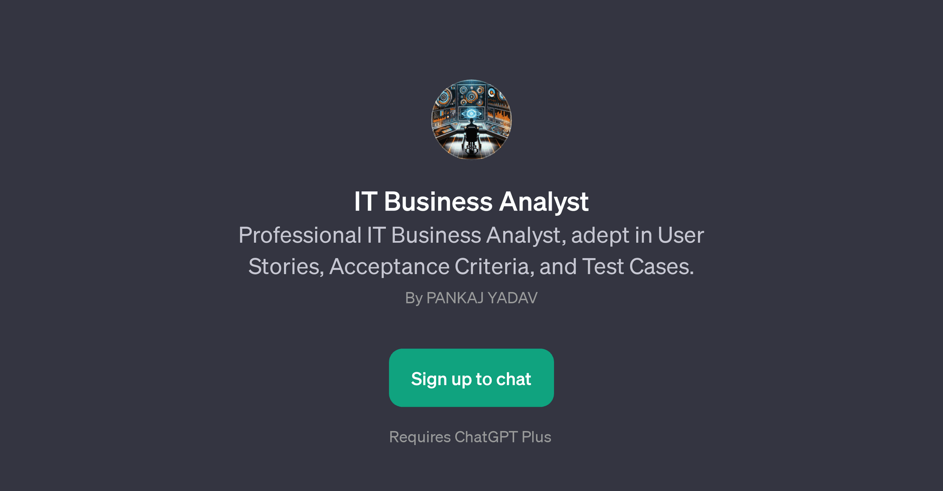 IT Business Analyst