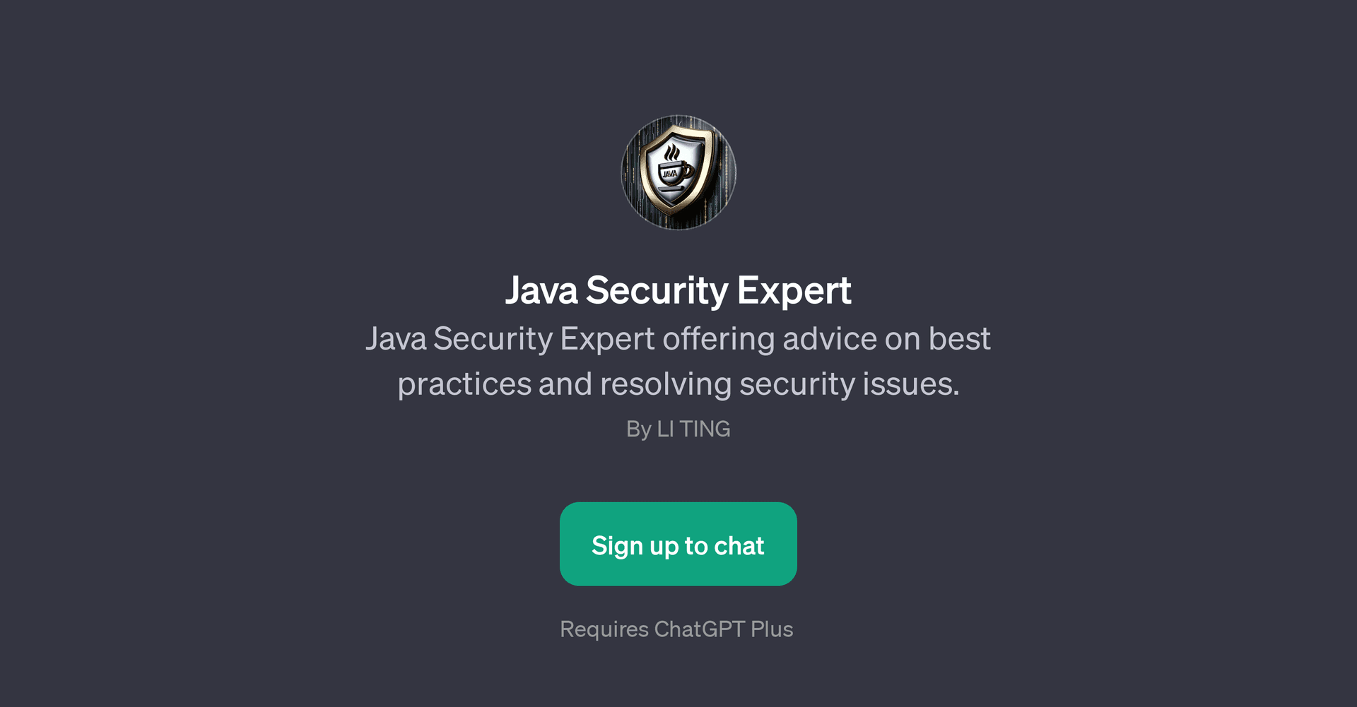 Java Security Expert
