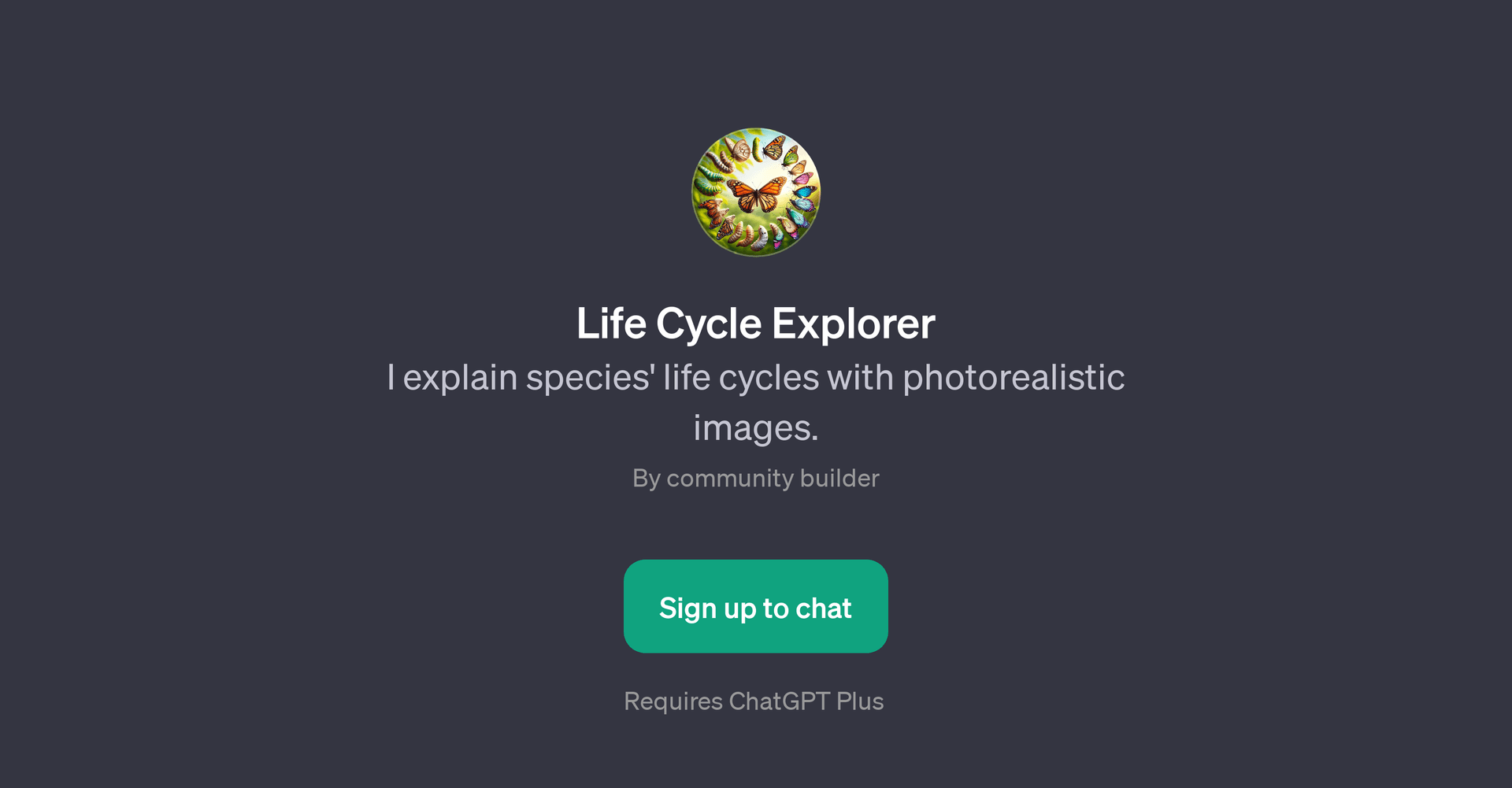 Life Cycle Explorer