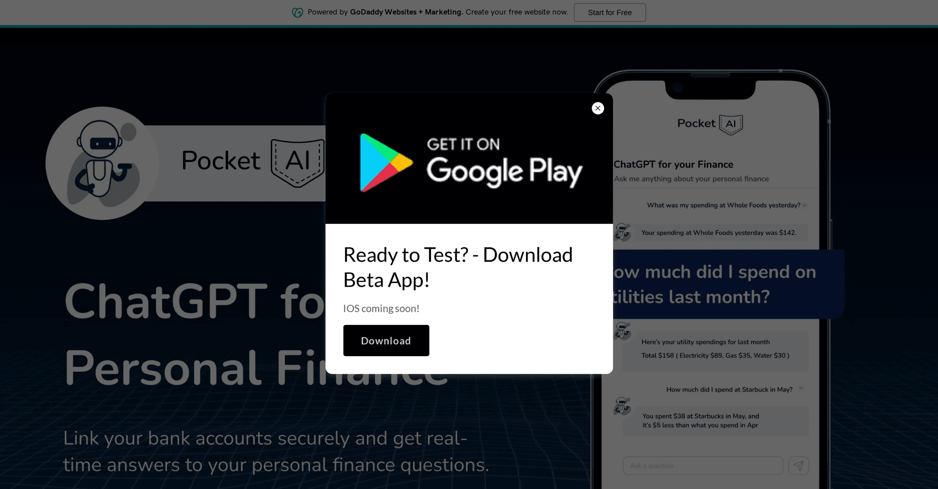 Pocket AI