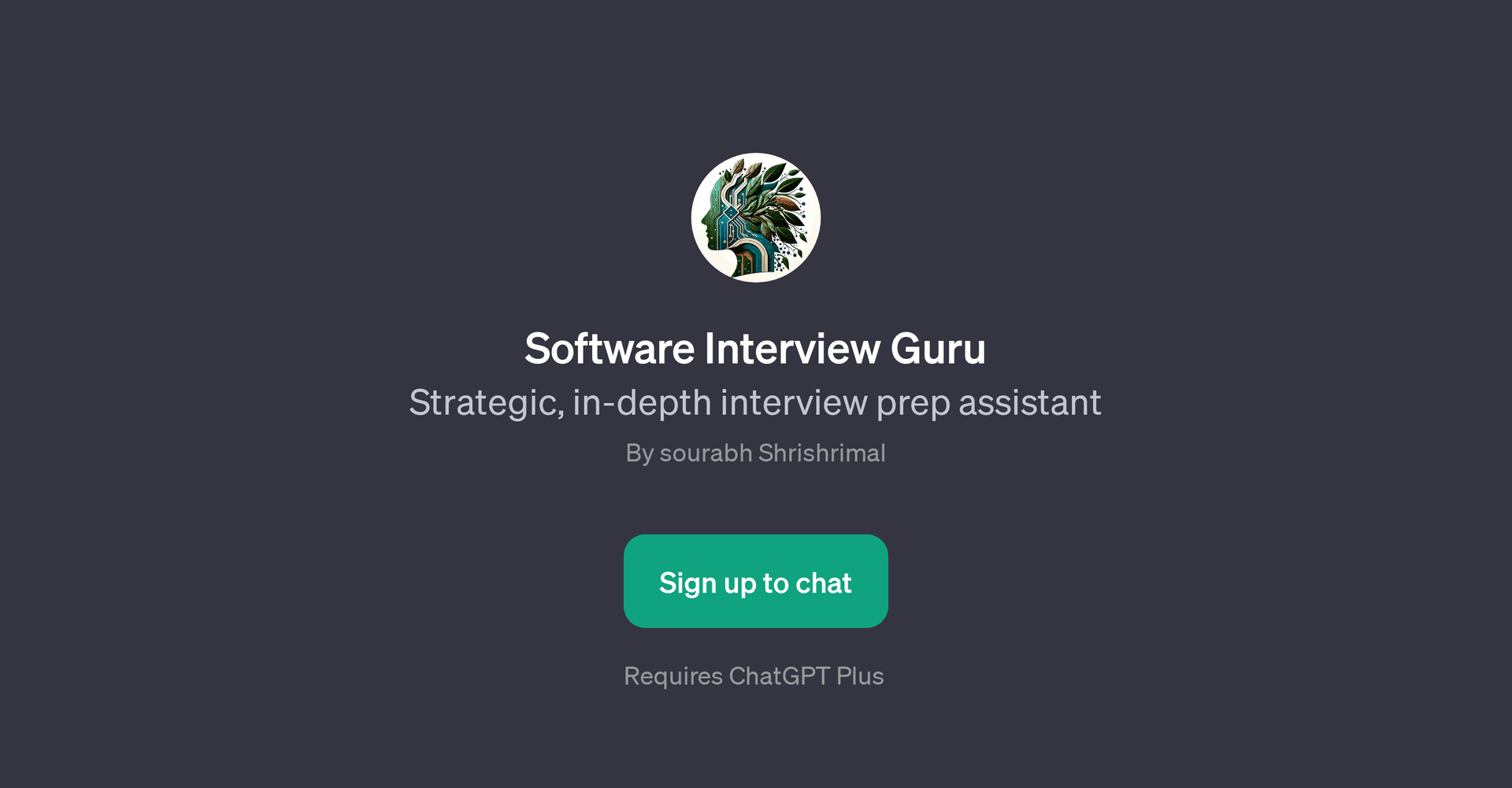 Software Interview Guru